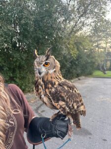 WhatsApp Image 2024-10-28 at 4.06.21 PM