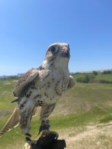 WhatsApp Image 2024-10-28 at 4.12.28 PM