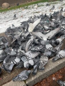 WhatsApp Image 2024-10-28 at 4.19.01 PM (1)