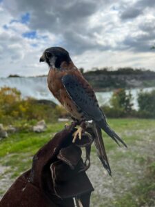 WhatsApp Image 2024-10-28 at 4.19.01 PM (2)