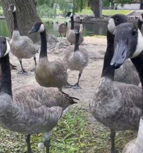 WhatsApp Image 2024-10-28 at 4.19.01 PM