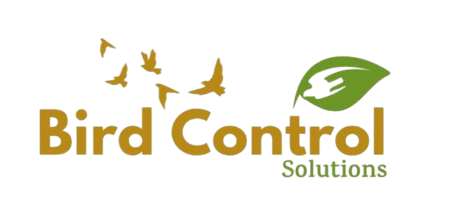 Bird Control Solutions